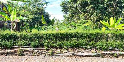 Tanah 800m² Cocok untuk Rumah Tinggal Karanganyar