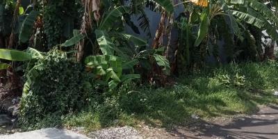 Tanah Murah Kali Kedinding Daerah Kenjeran Surabaya Tanah Murah Kali Kedinding Daerah Kenjeran Surabaya