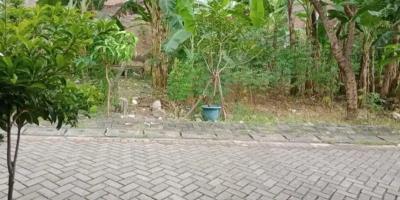 Tanah Daerah Sukolilo di Semampir Tengah Surabaya Tanah Daerah Sukolilo di Semampir Tengah Surabaya