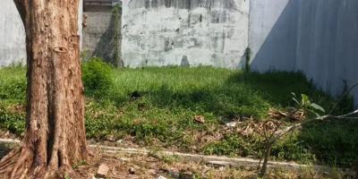 Tanah Siap Bangun Perumahan Galaxy Bumi Permai Araya Tanah Siap Bangun Perumahan Galaxy Bumi Permai Araya