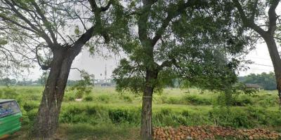 Jual Tanah Nol Jalan Raya Pandaan arah Bangil Pasuruan Jual Tanah Nol Jalan Raya Pandaan arah Bangil Pasuruan