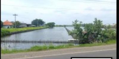 Jual Tanah Kosong di Kaliwungu Kendal