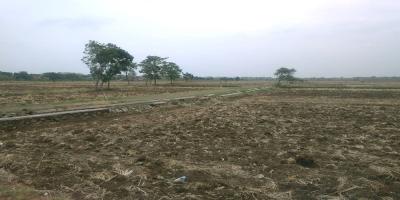 TANAH UNTUK PERUMAHAN DAN PERMUKIMAN DEKAT BANDARA INTERNATIONAL KERTAJATI-MAJALENGKA TANAH UNTUK PERUMAHAN DAN PERMUKIMAN DEKAT BANDARA INTERNATIONAL KERTAJATI-MAJALENGKA