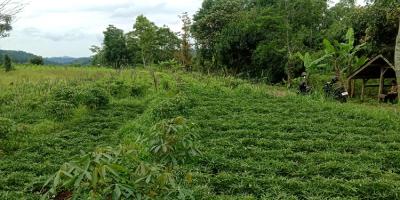 TANAH UNTUK PERUMAHAN DAN PERMUKIMAN DEKAT GT. PAMULIHAN TANJUNGSARI SUMEDANG TANAH UNTUK PERUMAHAN DAN PERMUKIMAN DEKAT GT. PAMULIHAN TANJUNGSARI SUMEDANG