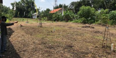 Tanah Sangat Murah dan Luas Daerah Mojokopek Pasuruan Tanah Sangat Murah dan Luas Daerah Mojokopek Pasuruan