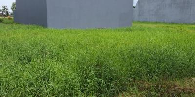 Jual Tanah Perumahan Puri Galaxy Daerah Medokan Semampir