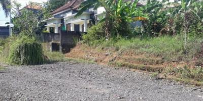 Tanah Murah di Kawasan Sambangan Sukasada Bali