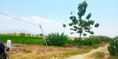 Tanah Zona Industri 41 Hektar Sukoharjo