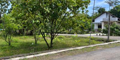 Tanah 80 Juta Bonus Kebun Buah Karanganyar