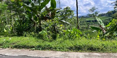 Jual Tanah Strategis Udara Dingin Tawangmangu 