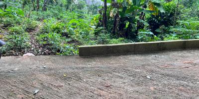 Kebun Durian 2233m² Hanya 350 Juta Kemuning Karanganyar 