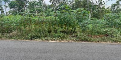 Tanah 705m² Tepi Jl Raya Kerjo- Ngargoyoso Karanganyar