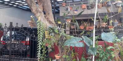 Rumah Murah Semolowaru Indah Daerah Sukolilo Surabaya Rumah Murah Semolowaru Indah Daerah Sukolilo Surabaya