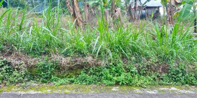 Tanah 900m² Kawasan Wisata Ngargoyoso Karanganyar