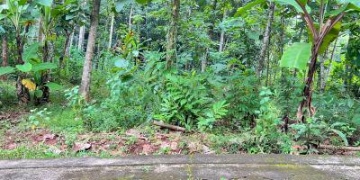 Pekarangan Super Datar 900m² Mojogedang, Karanganyar 