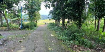 Tanah Istimewa View Hamparan Sawah Karanganyar 