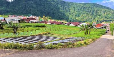 Tanah Idaman Cocok Untuk Villa Wisata Tawangmangu