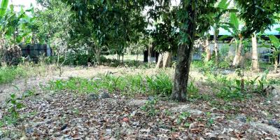 Tanah Pal 6, Pontianak, Kalimantan Barat