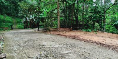 Kebun Durian Siap Panen Kerjo Karanganyar