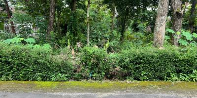 Tanah Datar 539m² Dekat Kecamatan Kerjo, Karanganyar 