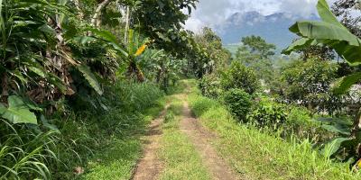 Kebun Durian 1237m² Kawasan Wisata Kemuning, Karanganyar 