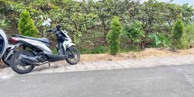 Tanah 350 Juta Strategis Bangun Villa Ngargoyoso 
