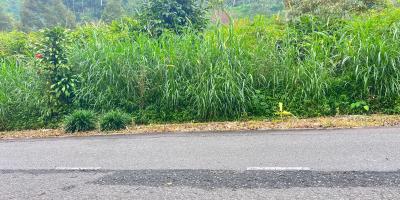 Tanah 3000m² Tepi Jl Raya Kemuning Siap Buka Usaha