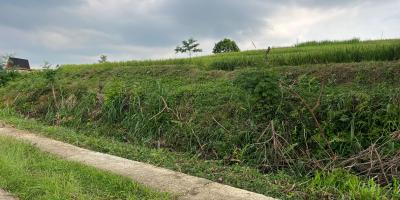Tanah Subur 1000m²  300 Juta Karangpandan 