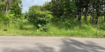 Tanah Datar Untuk Gudang 1000m² Tepi Jl Raya Kerjo – Sragen 