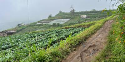Tanah Wisata Kemuning 1000m View Istimewa 
