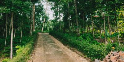 Tanah Subur Dekat Aliran Sungai Cocok Untuk Kebun Buah Mojogedang Kra Tanah Subur Dekat Aliran Sungai Cocok Untuk Kebun Buah Mojogedang Kra