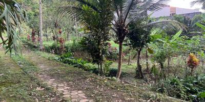 Tanah 220 Juta Cocok Untuk Villa Tawangmangu 