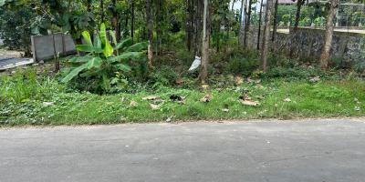 Tanah Super Datar 700m 225Jt Kedawung Sragen 