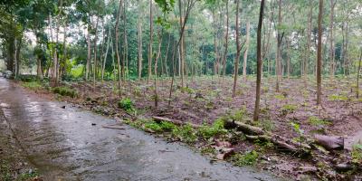 Tanah Datar Cocok di Kavling /dibangun Rumah Mojogedang Karanganyar