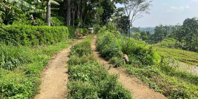 Tanah Subur 4000m² Udara Dingin Karangpandan Tanah Subur 4000m² Udara Dingin Karangpandan