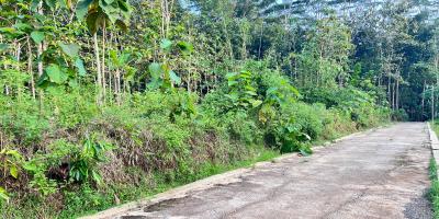 Tanah 2050m² Siap Bangun Utara Pasar Mojogedang 