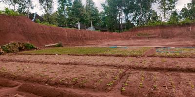 Tanah Datar Strategis Dibangun Villa Karangpandan Karanganyar