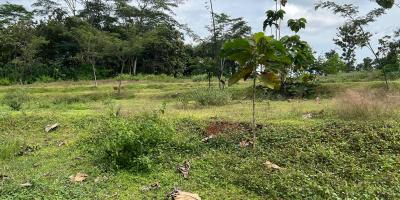  Tanah Murah 1198m² Hanya 100 Juta Karanganyar 
