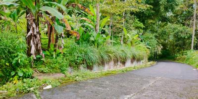 Tanah Cocok dibangun Villa Tawangmangu Karanganyar