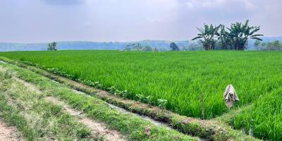 Tanah View Gunung Lawu 1000m Karanganyar Utara 