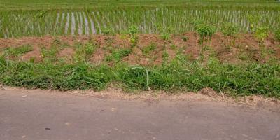 Tanah Datar 3416m View Solo Raya Kerjo, Karanganyar