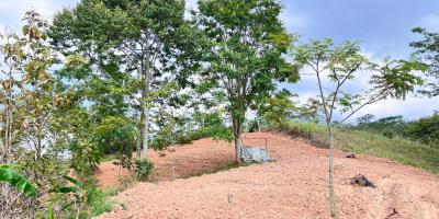 Tanah 8000m² Cocok Untuk Kebun Buah Karanganyar 