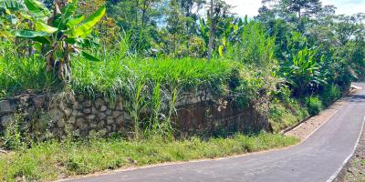 Kebun Durian 950m 250Jt Mojogedang Karanganyar  Kebun Durian 950m 250Jt Mojogedang Karanganyar