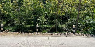 Tanah Dekat Sungai 3929m² Utara Jembatan Kaca Kemuning 