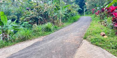 Tanah Istimewa 1 Hektar 500Juta Utara Candi Cetho Karanganyar 