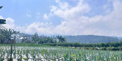 Tanah 7000m² Cocok Untuk Wisata Kebun Buah Ngargoyoso 