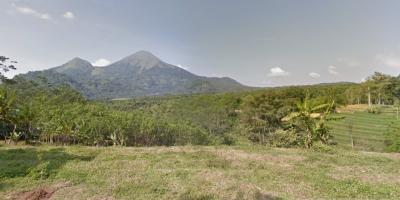 Tanah di Daerah Pegunungan di Desa Sukosari Mojokerto Tanah di Daerah Pegunungan di Desa Sukosari Mojokerto