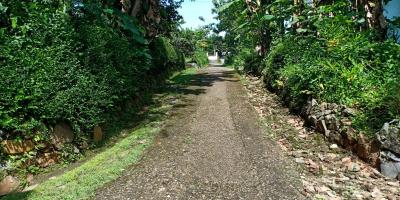 Tanah Cocok Untuk Kebun Durian Kerjo Karanganyar