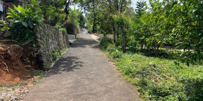 Tanah Untuk Kebun Buah 150 Juta Karanganyar 