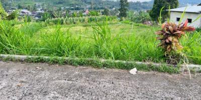 Tanah View Tanpa Terhalang 852m² Karangpandan 
